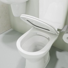 Livenza Plus Sanitaryware Close Coupled WC (p trap)