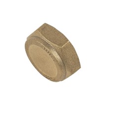 Compression Ftg Blank Capnut 22mm 63B